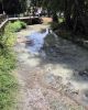 Peti&ccedil;&atilde;o P&uacute;blica pela Prote&ccedil;&atilde;o e Recupera&ccedil;&atilde;o do Rio Cobral
