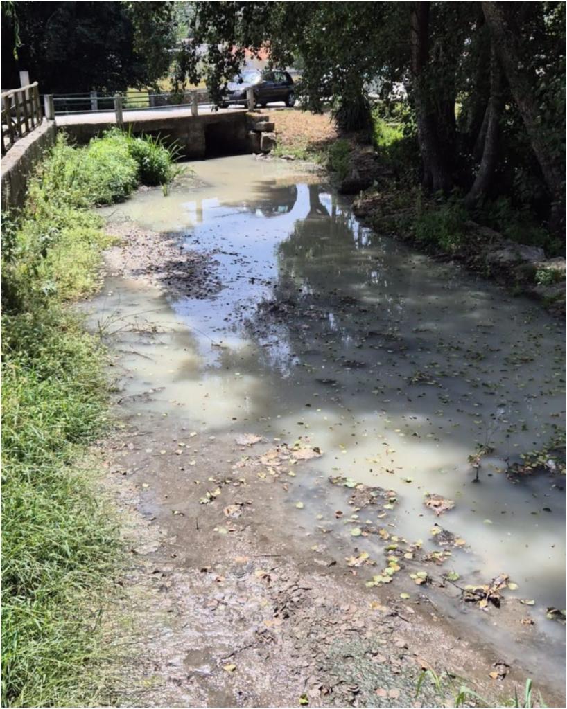rio Cobral